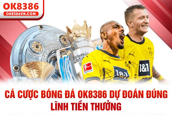 cá cược bóng đá OK8386